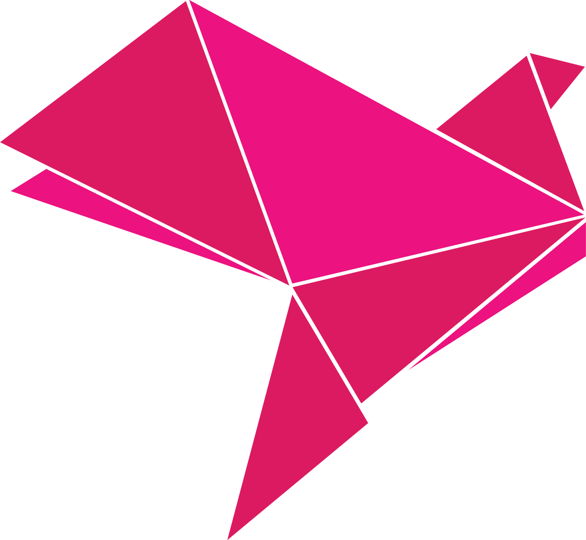 bKash Logo